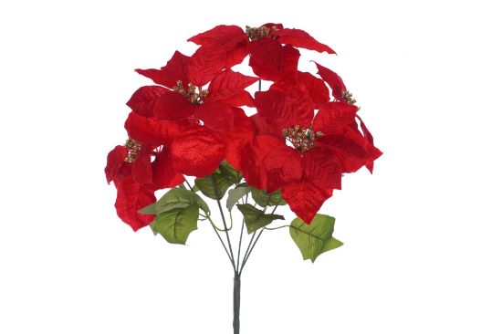 (image for) 45cm Velvet Touch Poinsettia Bush