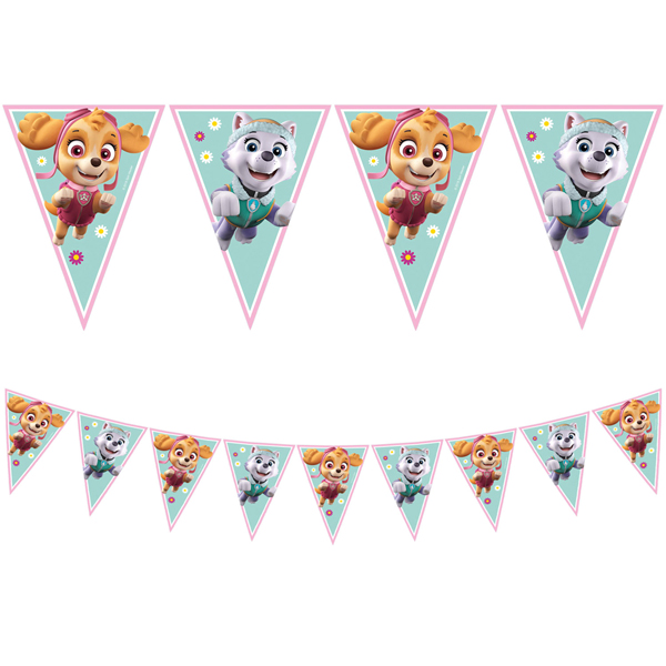 Paw Patrol Skye & Everest Party Triangle Flag Banner 1pk