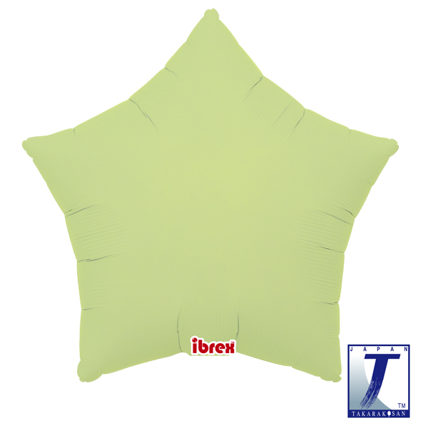 14" Pastel Green Ibrex Star Foil Balloons Pack Of 5
