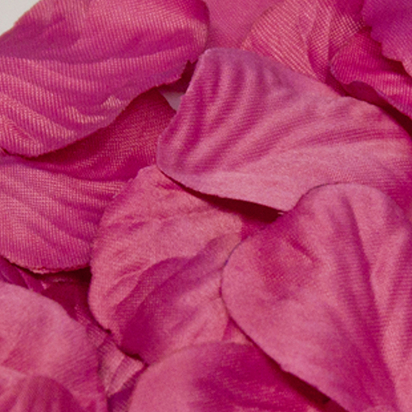 (image for) Eleganza Fuchsia Rose Petals 1000pcs