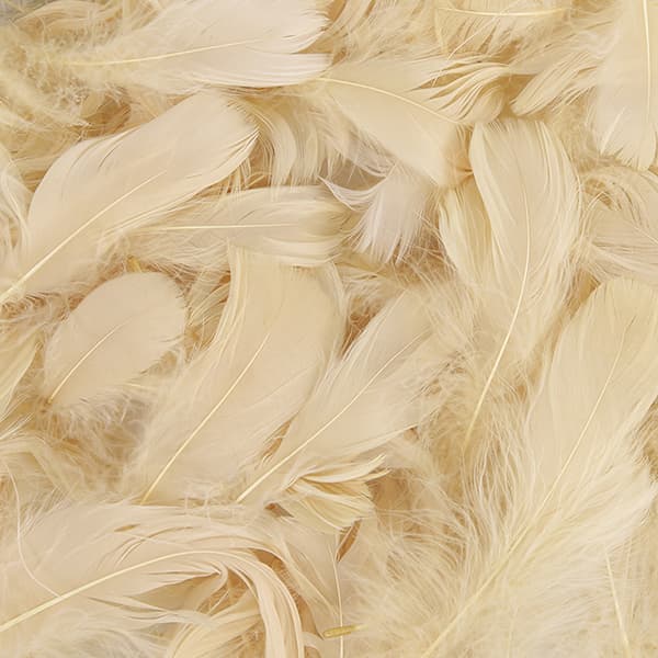 (image for) Pampas Feathers 50g