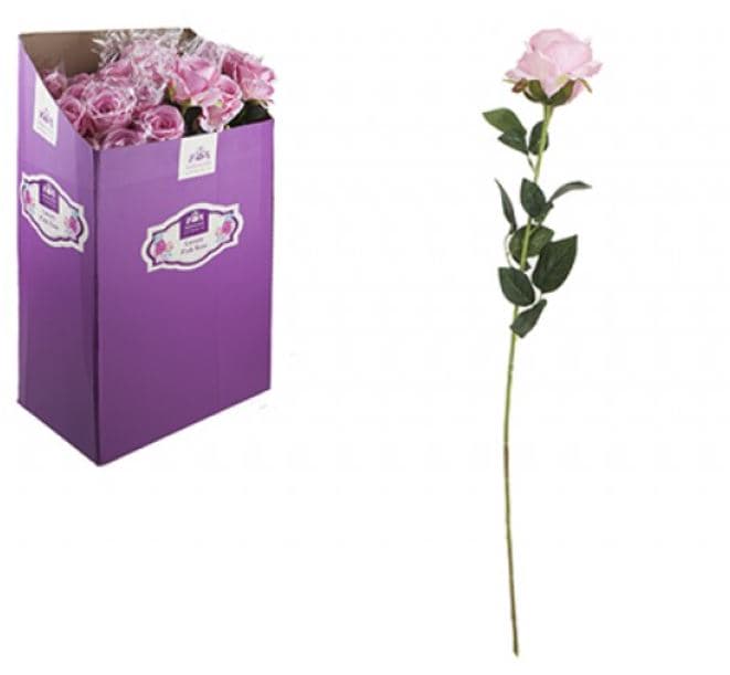 Luxury Pink Rose in PVC Sleeve