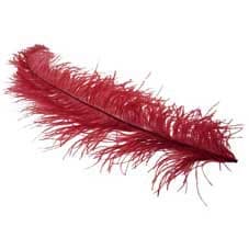 (image for) Bordeaux Ostrich Feathers x5