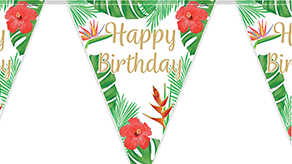 (image for) Birthday Party Bunting