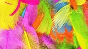 (image for) Balloon Feathers