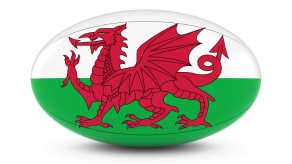 (image for) Wales Rugby Themed