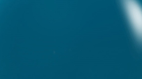 (image for) Deep Teal Sempertex Balloons