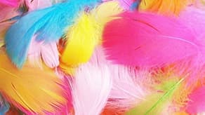 (image for) Easter Feathers