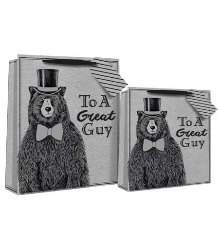 (image for) To A Great Guy Gift Bags