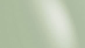 (image for) Eucalyptus Sempertex Balloons