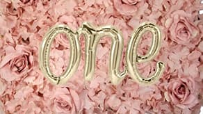 (image for) First Birthday Flower & sequin Wall Panels