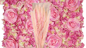 (image for) Party Flowers, Foliage & Flower Walls