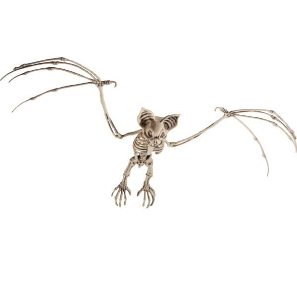 Bat Skeleton Props