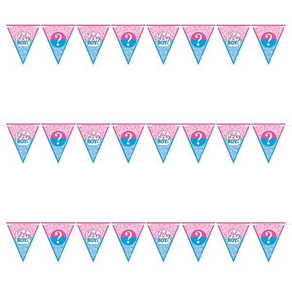 (image for) Girl Or Boy Pennant Bunting