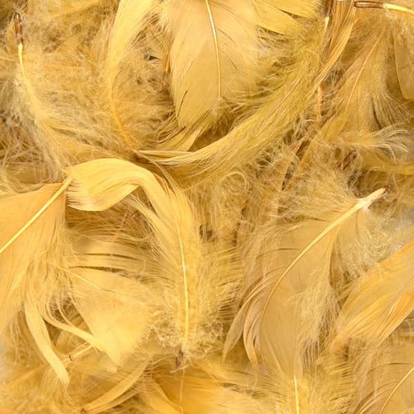 (image for) Gold Feathers 50g