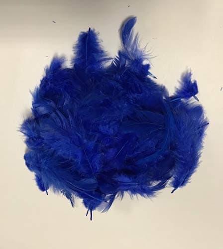 (image for) Royal Blue Feathers