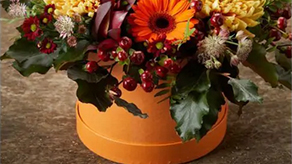 (image for) Halloween Hat, Envelope Boxes, Vases & Foliage