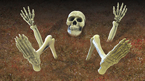 (image for) Halloween Props Decorations