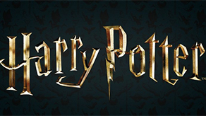 (image for) Harry Potter Themed Partyware