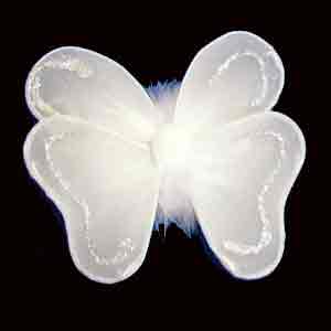 (image for) Mini Fairy Wings