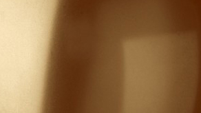 (image for) Metallic Brown Gemar Balloons