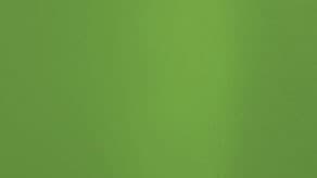 (image for) Metallic Lime Green Sempertex Balloons