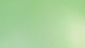 (image for) Neon Green Latex Balloons