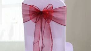 (image for) Organza Bows & Sashes