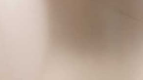 (image for) Reflex Champagne Sempertex Balloons