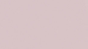 (image for) Pastel Dusk Rose Sempertex Balloons