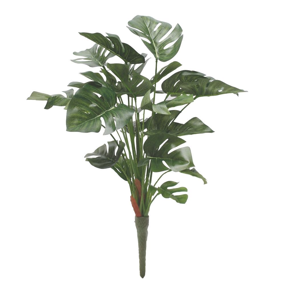 (image for) Split Philo Plant 46cm