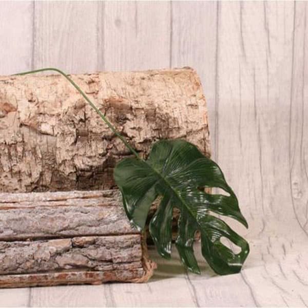 (image for) Medium Real Touch Philo Spray