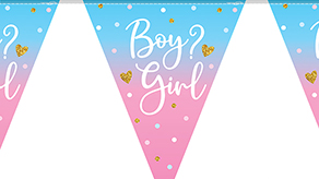 (image for) Special Occasion Party Bunting
