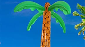 (image for) Summer Themed Inflatables