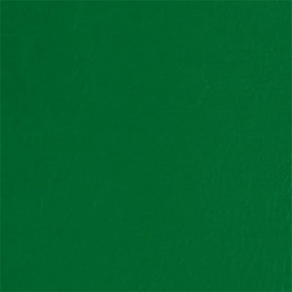 Medium Green Gloss Vinyl 5m