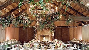 (image for) Wedding Decorations & Party Accessories
