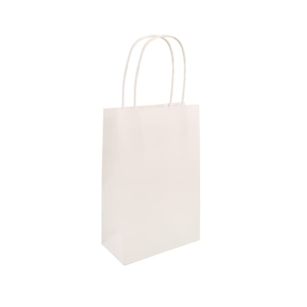 White Party Paper Gift Bags 24pk